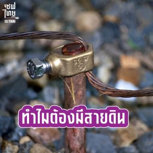 savethai