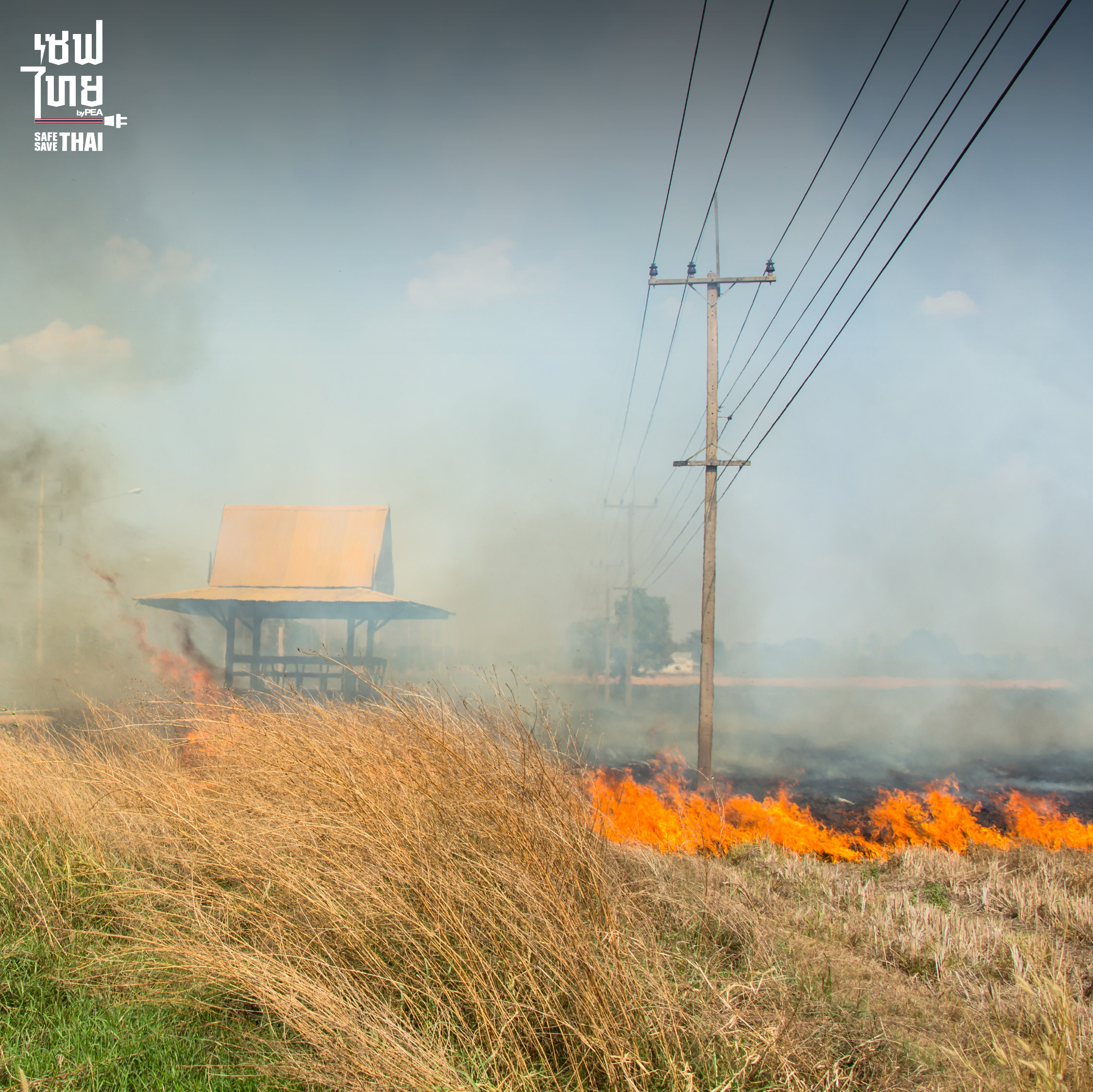 อันตรายจากไฟฟ้า ก่อกองไฟ เผาหญ้า เผาฟางตามแนวสายไฟฟ้า